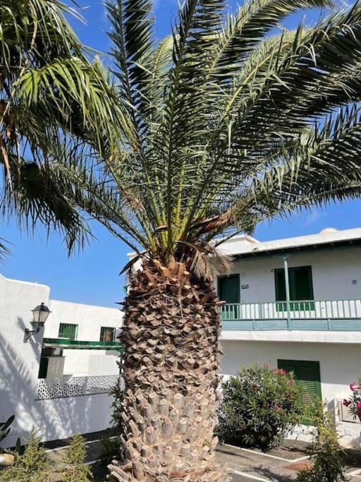 Apartamento Amura En Playa De Las Cucharas コスタ・テギセ エクステリア 写真